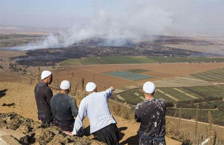 observan el bombardeo israeli